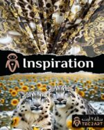 Leopard print dress fabric closeup