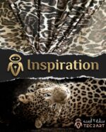Leopard print chiffon dress fabric closeup