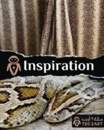 Snake print dress fabric closeup
